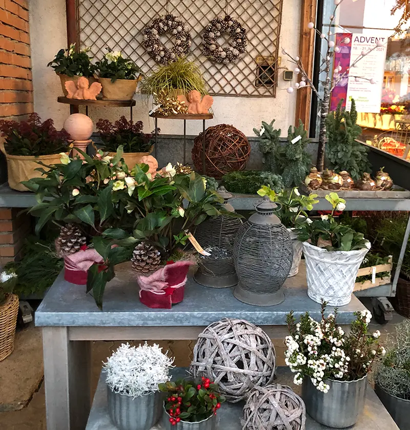 Blumen Gärtnerei